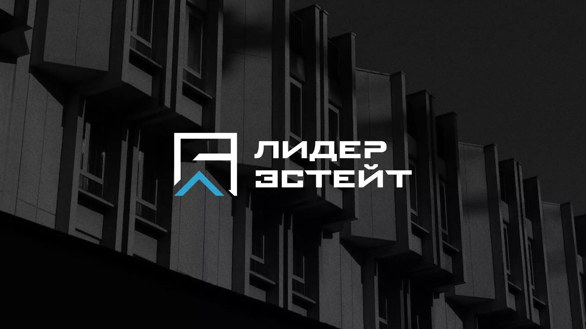 Разработка логотипа агентства недвижимости «Лидер Эстейт» в Борисоглебске